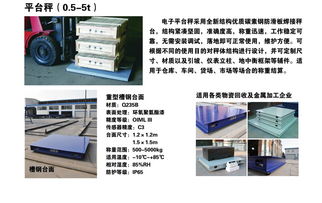 天津西青食品廠3噸電子地磅秤應用方案 儀器儀表之選